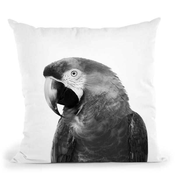 Parrot1 Bw Throw Pillow By Little Pitti