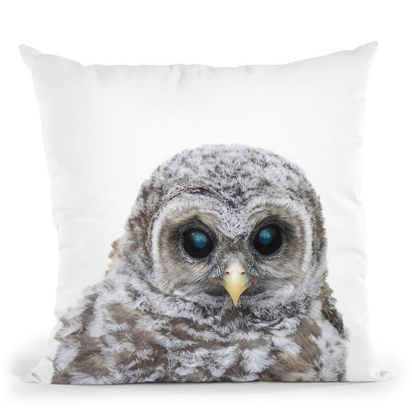 Baby Owl Lp Throw Pillow By Little Pitti
