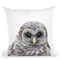 Baby Owl Lp Throw Pillow By Little Pitti