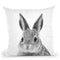 Rabbit B Throw Pillow By Little Pitti