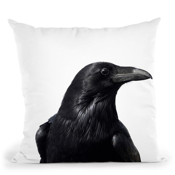Raven Bw Throw Pillow By Little Pitti