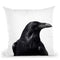 Raven Bw Throw Pillow By Little Pitti