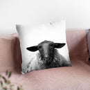 Sheep Bw Throw Pillow By Little Pitti