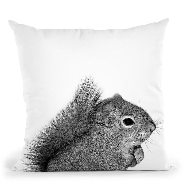 Squirrel Bw Throw Pillow By Little Pitti