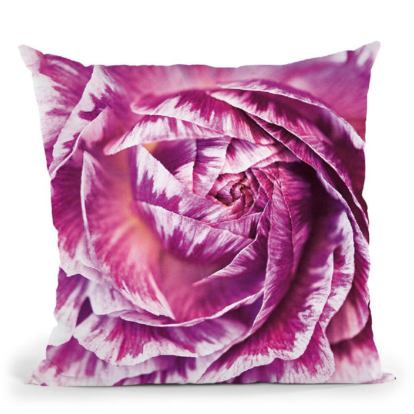 Ranunculus Abstract Iv Color Throw Pillow By Laura Marshall