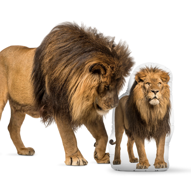 Custom Lion Pillow