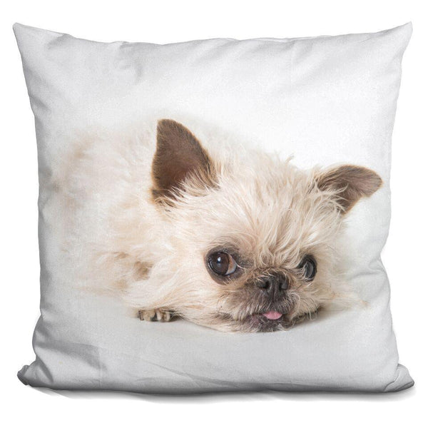 Griffin SighUare Throw Pillow