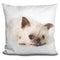 Griffin SighUare Throw Pillow
