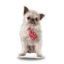 Griffin Tie Throw Pillow