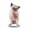 Griffin Tie Throw Pillow