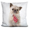 Griffin TieUare Throw Pillow