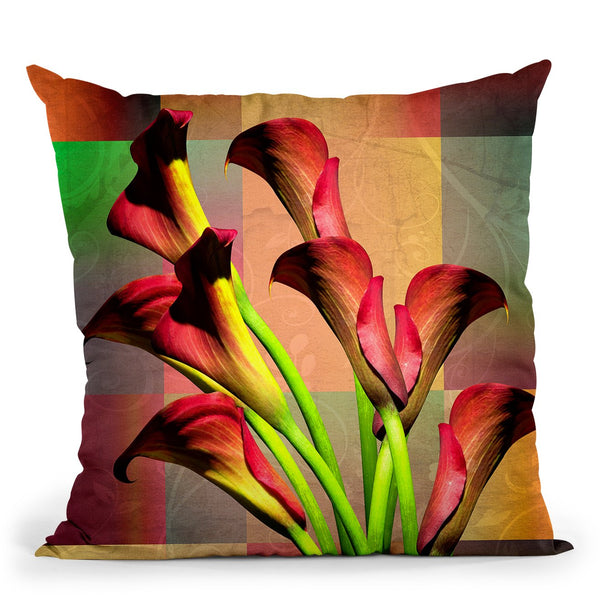 Bbb Iii Throw Pillow By Mark Ashkenazi