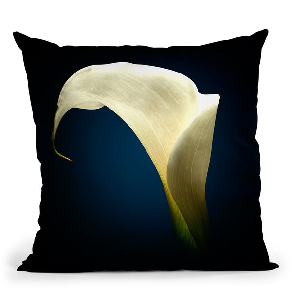 Cala Lily I Throw Pillow By Mark Ashkenazi