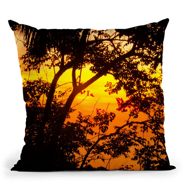 Nature Iii Throw Pillow By Mark Ashkenazi