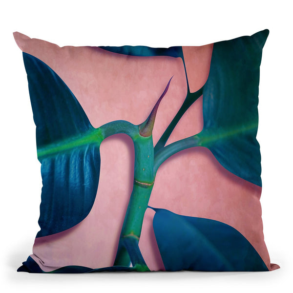 Cactus Throw Pillow By Mark Ashkenazi