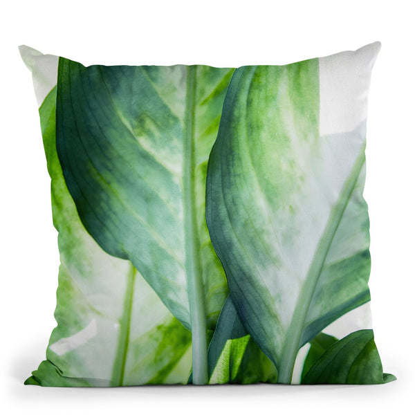 Cactus Pattern Iii Throw Pillow By Mark Ashkenazi