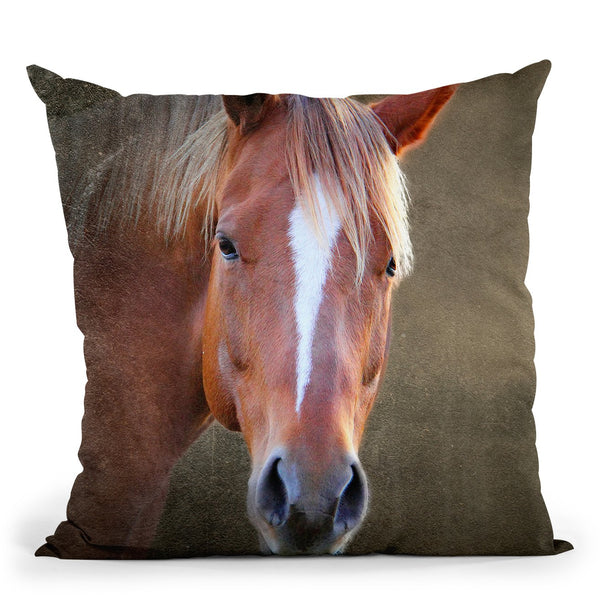 Big Brown Throw Pillow By Mark Ashkenazi