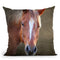 Big Brown Throw Pillow By Mark Ashkenazi