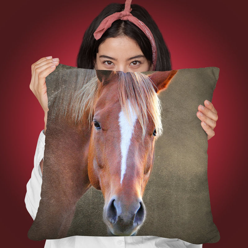 Big Brown Throw Pillow By Mark Ashkenazi
