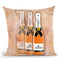 Hermes Bottles Throw Pillow By Martina Pavlova