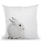 Scandi Arctic Hare Throw Pillow By Monika Strigel