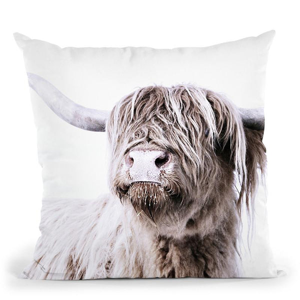 Scandi Highland Cattle Throw Pillow By Monika Strigel