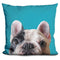 Manny The Frenchie Throw Pillow