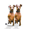 Personalized Miniature Pinscher Pillow