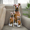 Personalized Miniature Pinscher Pillow