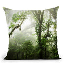 Cloud Forest Throw Pillow By Niklas Gustafson