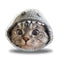 Nala Cat Monster Hood Throw Pillow
