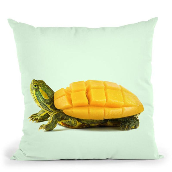 Mango Tortuga Throw Pillow By Paul Fuentes