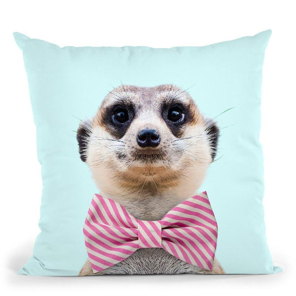 Meerkat Throw Pillow By Paul Fuentes
