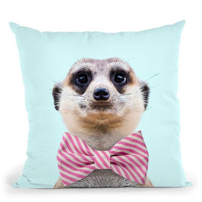 Meerkat Throw Pillow By Paul Fuentes