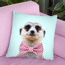 Meerkat Throw Pillow By Paul Fuentes