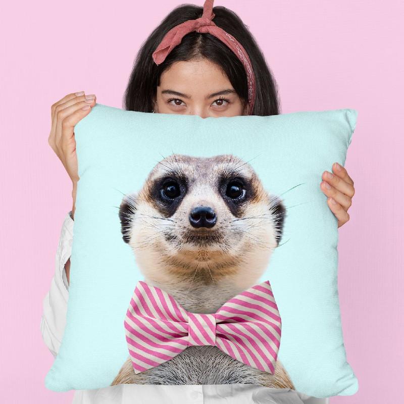 Meerkat Throw Pillow By Paul Fuentes