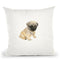 Cutie I Throw Pillow By Patsy Ducklow