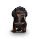 Dachshund Black Throw Pillow By All About Vibe