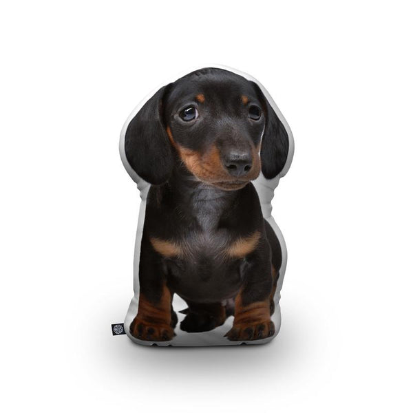 Dachshund Black Throw Pillow By All About Vibe