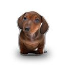 Dachshund Brown Throw Pillow By All About Vibe