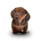 Dachshund Brown Throw Pillow By All About Vibe