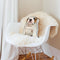 English Bulldog Throw Pillow By All About Vibe