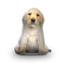 Labrador Yellow Throw Pillow By All About Vibe