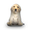 Labrador Yellow Throw Pillow By All About Vibe