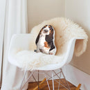Basset Hound Throw Pillow By All About Vibe