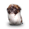 Shih Tzu Throw Pillow By All About Vibe