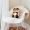 Yorkie Throw Pillow By All About Vibe