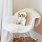 Bichon Frise Throw Pillow By All About Vibe