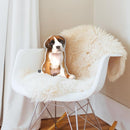 Boxer Throw Pillow By All About Vibe