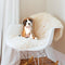 Boxer Throw Pillow By All About Vibe